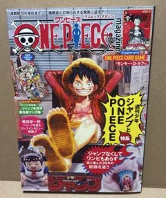 ワンピースマガジン 20号 ONE PIECE magazine 【付録なし】