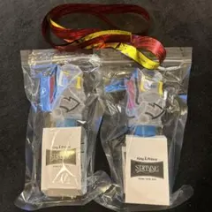 キンプリ　ペンライト2本　2025 starring 銀テープ付き