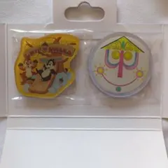 東京ディズニーリゾート　ディズニーランド　マグネット2個　ランダム