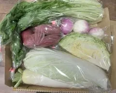 野菜詰め合わせコンパクトセット(６種類)