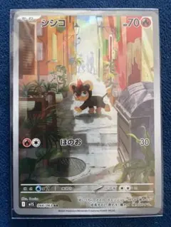 シシコ