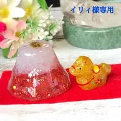 イリィ様専用ページです♥️
