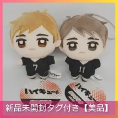 【早い者勝ち】ハイキュー!! ぬいぷりけ mini4 宮治 宮侑 美品