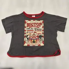 【110】チマジロ　Tシャツ