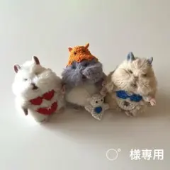 猫。⚠️プロフィール必読⚠️様専用 - メルカリ