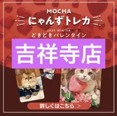 2026年最新】猫カフェmocha トレカの人気アイテム - メルカリ