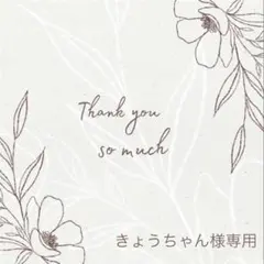 ◆きょうちゃん様専用◆同梱あり