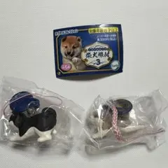 柴犬根付3 カプセルコレクション　あそぼう　みあげる　セット　ガチャ