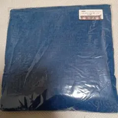 Item thumbnail for item 2a09e8fe-c06a-4236-83c6-a200a259f512