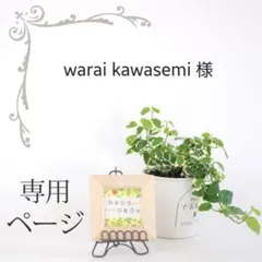 warai kawasemi プロフ必読様 リクエスト 2点 まとめ商品
