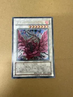 ブラック・ローズ・ドラゴン ARS9 レリーフ - メルカリ