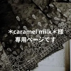 〚 ＊caramel milk＊様専用ページ 〛