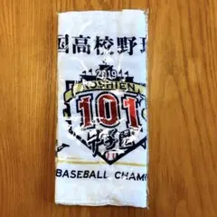 91回 甲子園グッズ タオル 応援 高校野球 選手権大会 2009年 新品