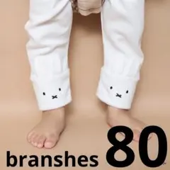 BRANSHES