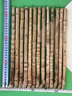 孟宗竹 地下茎 45-55cm 9本 - メルカリ