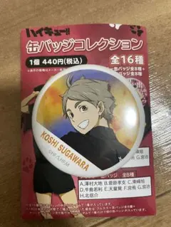 ●値下げ中●ハイキュー!! 菅原孝支 横断幕 フルカラー 缶バッジ ハイキュー 菅原孝支 横断幕缶バッジ まとめ売り - メルカリ
