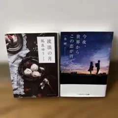 流浪の月 今夜、世界からこの恋が消えても