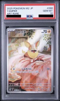 超絶版‼️ レックウザ　POP92 PSA10 レックウザ イーブイ　125 k*e様 超絶版‼️ レックウザ POP92 PSA10 レックウザ イーブイ - メルカリ