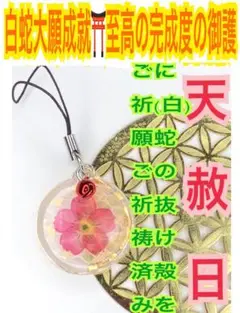 福招鈴✨蛇の抜け殻✨レッド✨第1チャクラ✨白蛇のお守り【天赦日ご祈祷済み】赤BA