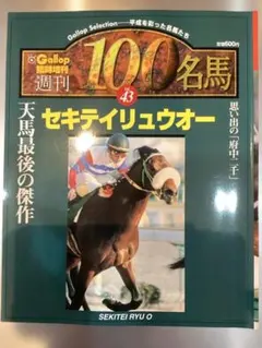 週刊Gallop臨時増刊 週刊100名馬 サクラチトセオー - メルカリ