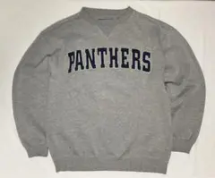 90s CHAMPS チャンプス PANTHERS スウェット ロゴ M 前V