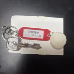 あ*ゆ様 【音駒】ハイキュー　鍵チャーム　トレーディング高校名付き鍵チャームキー