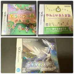 ニンテンドーDSソフト3個セット