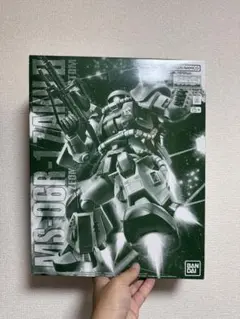 箱に大きな傷みアリ MG ガンダムアストレア プレバン限定 2個セット