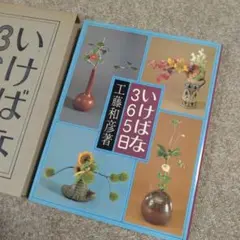 2026年最新】小原流の人気アイテム - メルカリ