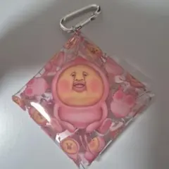こびとづかん アクリルキーホルダー