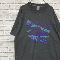 USA製90sヴィンテージTシャツ！シングルステッチグレー半袖古着XL0420
