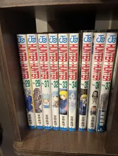 HUNTER×HUNTER 28巻～33巻 ➕37 新品あり バラ売り