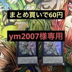 ym2007様 リクエスト 5点 まとめ商品