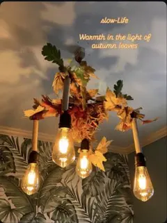 秋の流木の吊り下げ照明 4灯式⭐️天然木⭐️LED電球専用⭐️E26⭐️カントリー系⭐9