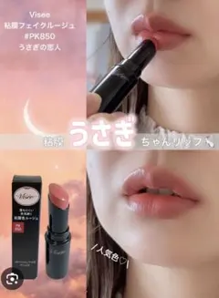 Visee ネンマクフェイクルージュ PK850