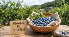 糖度17%☆本州クール送料込み【激レア ハニーローザ入り】旬の果実 