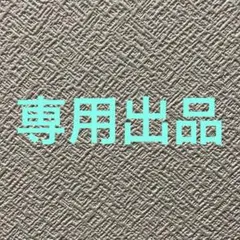 ポルポル様　専用出品