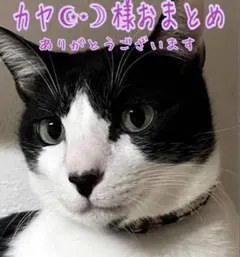 カヤ　☪︎⋆☽様おまとめページ