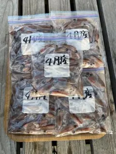 [도야마현산 반딧불 오징어] 낚시 미끼 배달료가 걱정되는 분들을 위해 300g 봉지 15 개 세트로 판매