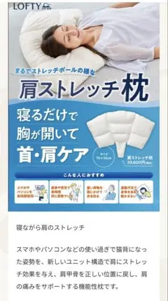 シルクわた100%肌掛布団 LOFTY ロフテー 1041 日本製✨️絹silk 2025年