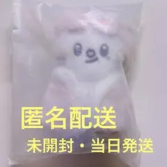 【未開封】Straykids 本国ペンミSKZOO PLUSH 10㎝ジニレット