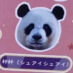 2026年最新】ウエノデパンダの人気アイテム - メルカリ