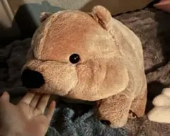 ずんぐり ウォンピー ぬいぐるみ　ウォンバット