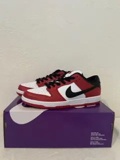 NIKE SB DUNK LOW PRO CHICAGO