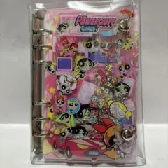 パワーパフガールズ A6 アクリルバインダー パワパフ シールバインダーシール帳