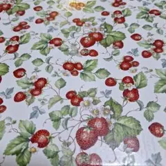 Item thumbnail for item cac2a737-047d-46ff-9e85-0f014c0ace09