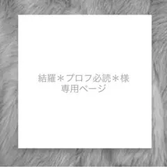 結羅＊プロフ必読＊様専用ページ　あみぐるみキーホルダー