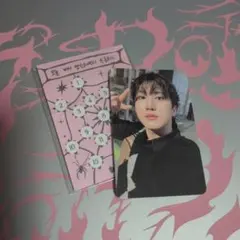 StrayKids DOIT チャンビン トレカ セット