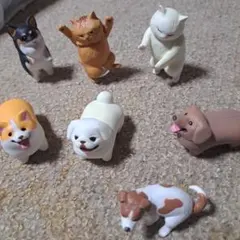 猫　犬　ガチャ