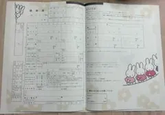 Item thumbnail for item be505f12-e0e0-4178-a9ba-d0c6e45881e8